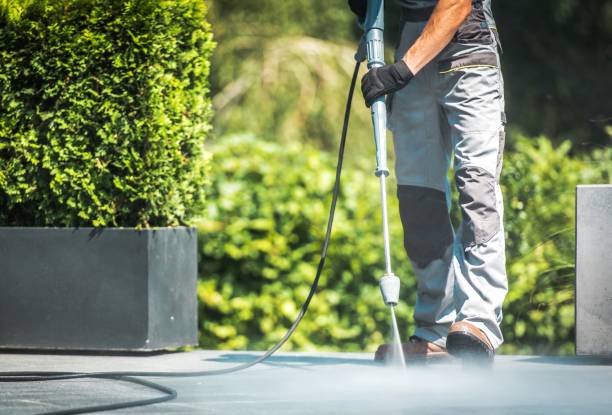 Best Sidewalk and Walkway Cleaning  in East Sonora, CA